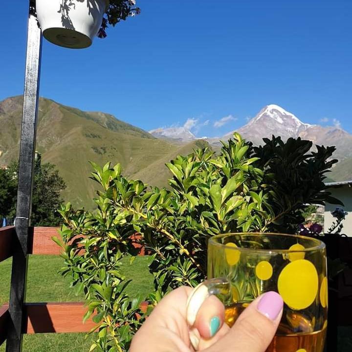 Guest House Elguja Qushashvili Kazbegi Exteriör bild