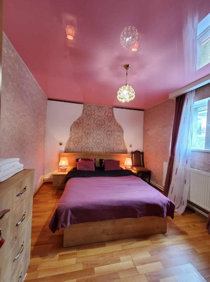 Guest House Elguja Qushashvili Kazbegi Exteriör bild