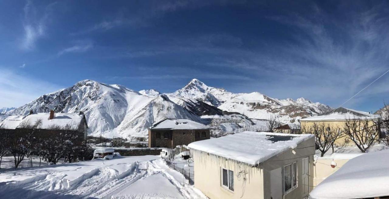 Guest House Elguja Qushashvili Kazbegi Exteriör bild