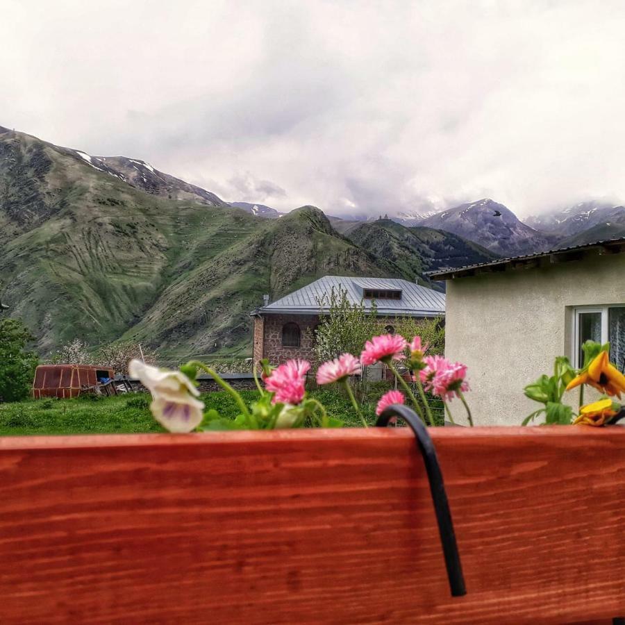 Guest House Elguja Qushashvili Kazbegi Exteriör bild